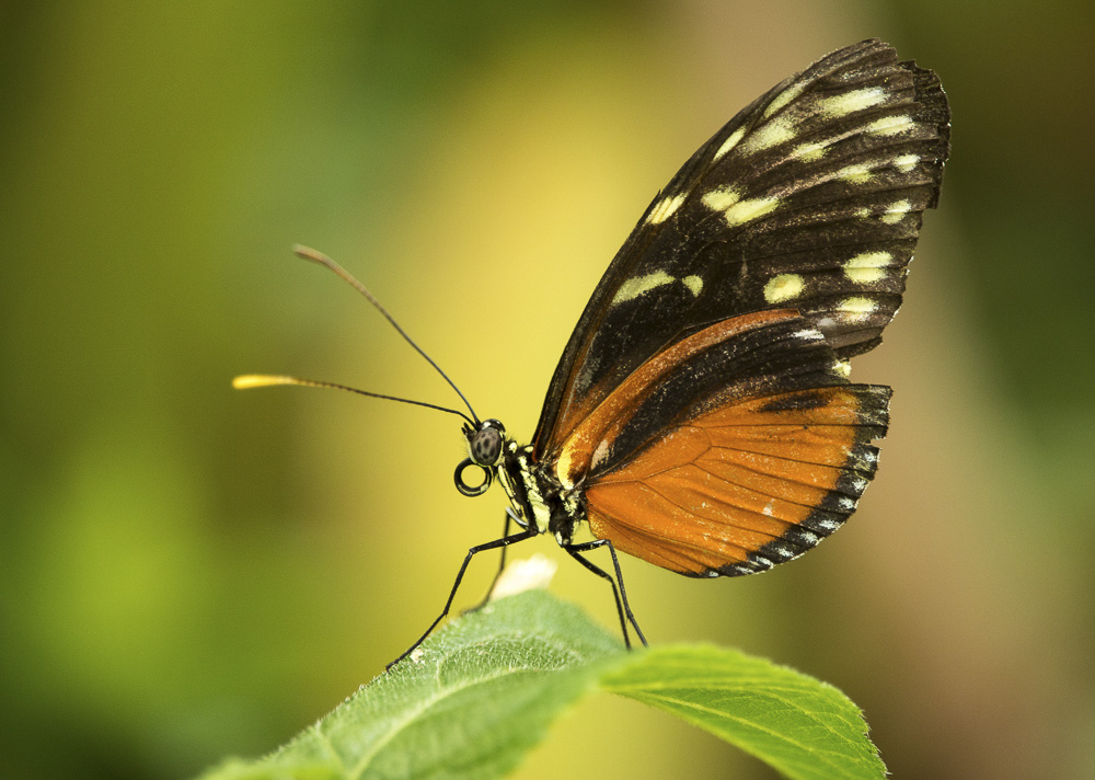 3. Platz Marcus Jackscha
